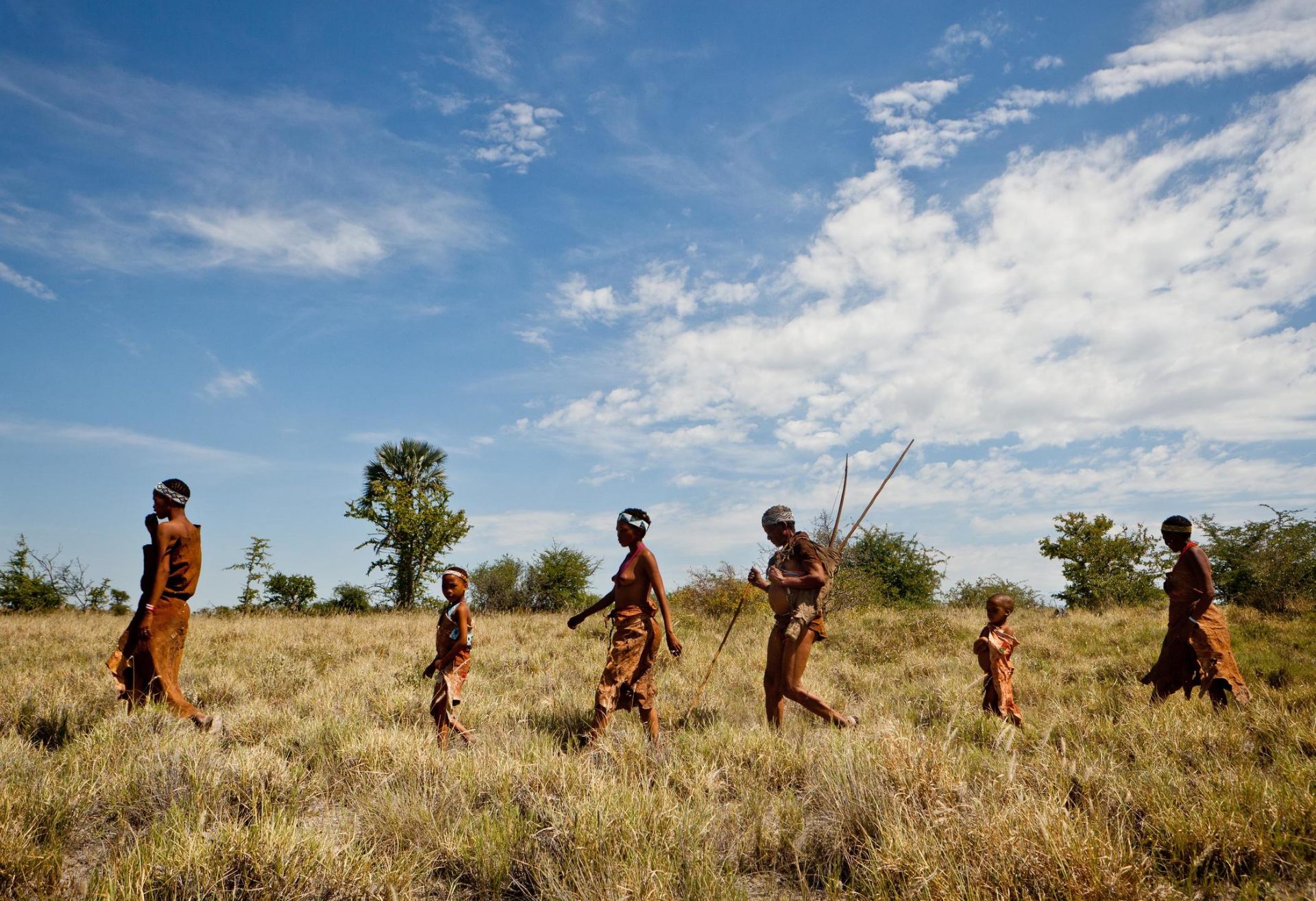 San Bushmen family walking through open grasslands in the Kalahari, Botswana