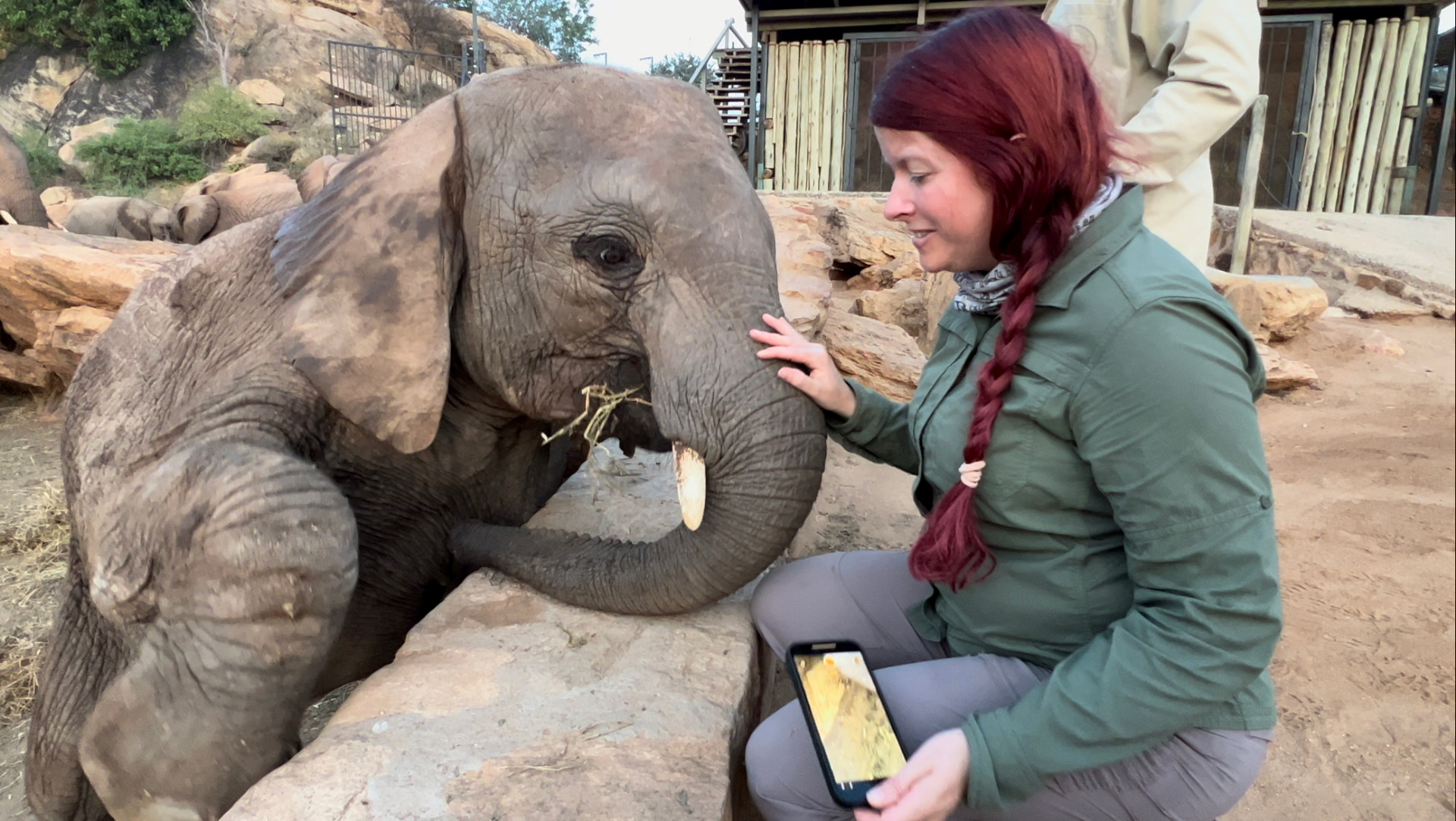 Woman photographing a baby elephant at close range during a conservation visit