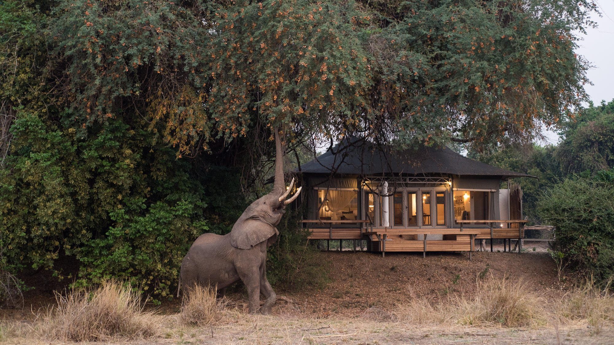 Interior of a luxury safari lodge with four-poster bed and private plunge pool deck