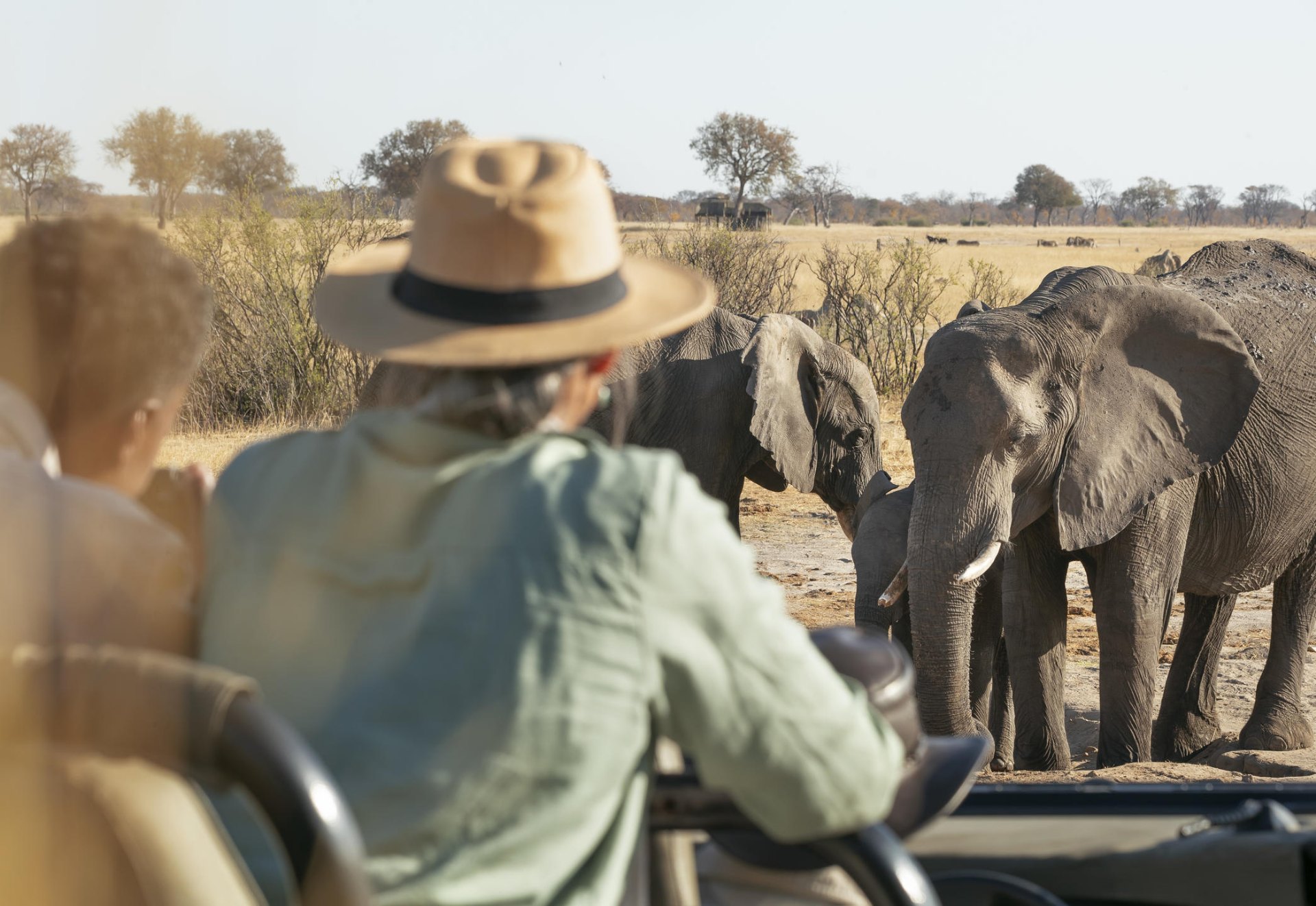 Travelers on an open safari vehicle watching elephants up close at a watering hole