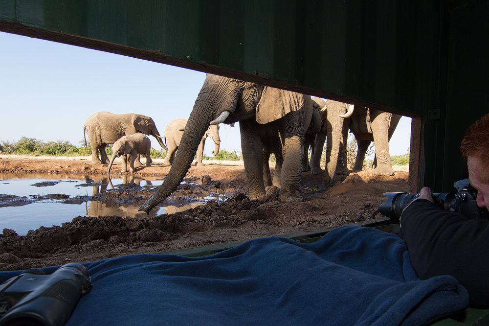 Photographers lying in a ground-level hide photographing elephants at a watering hole