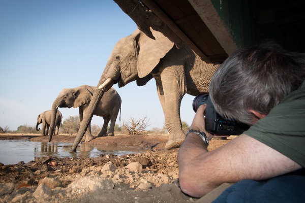 Wildlife photographer capturing elephants up close at a watering hole from ground level