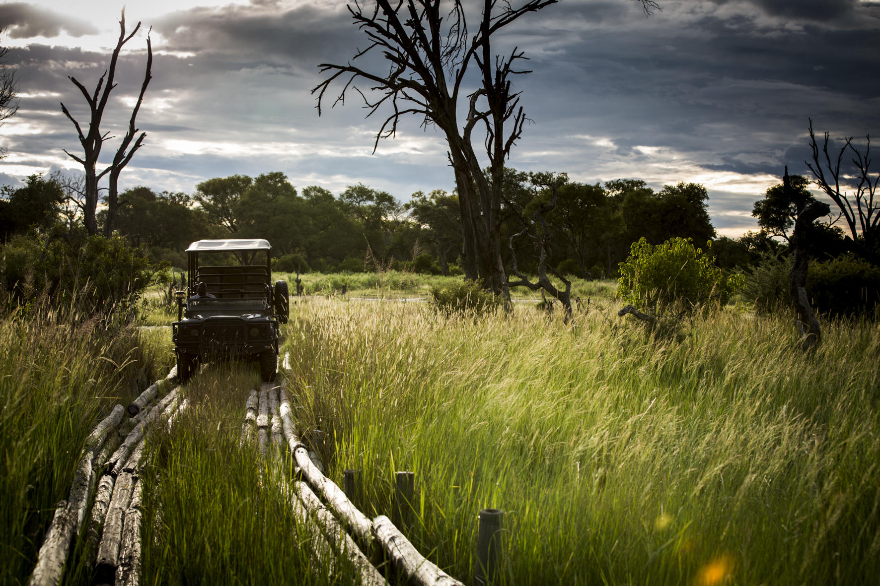 Safari vehicle crossing a log bridge through the lush Okavango Delta wetlands