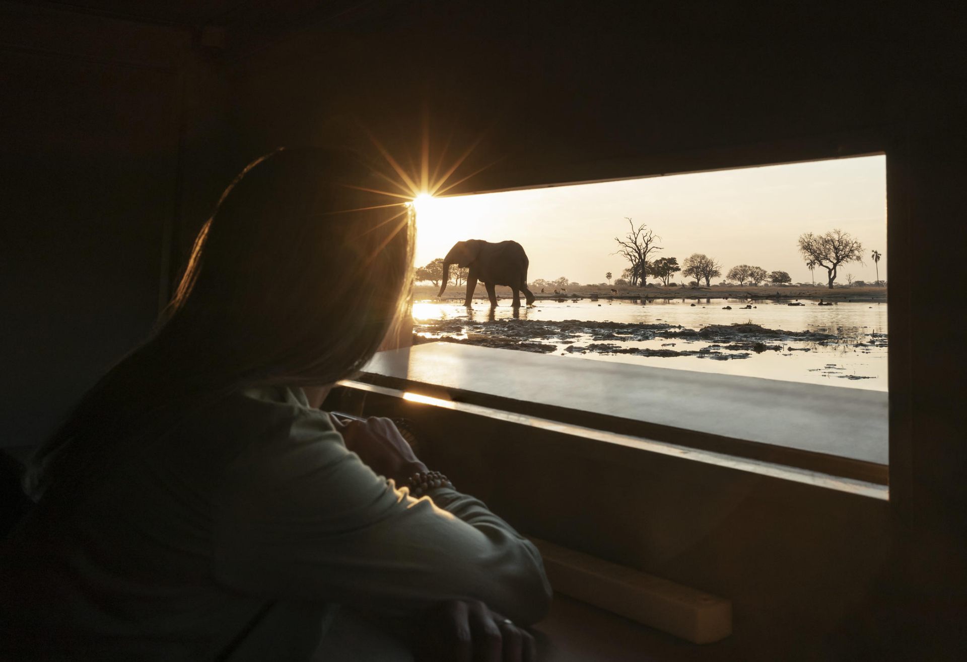 Watching an elephant at sunset through a photo hide window in Botswana