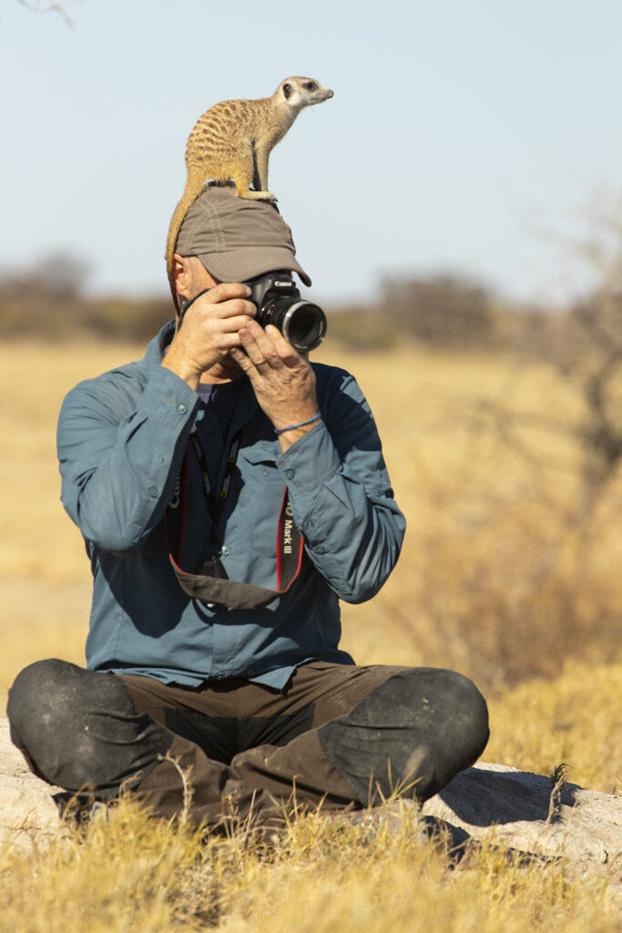 suzi-safari-meerkat-wildlife-photographer.jpg